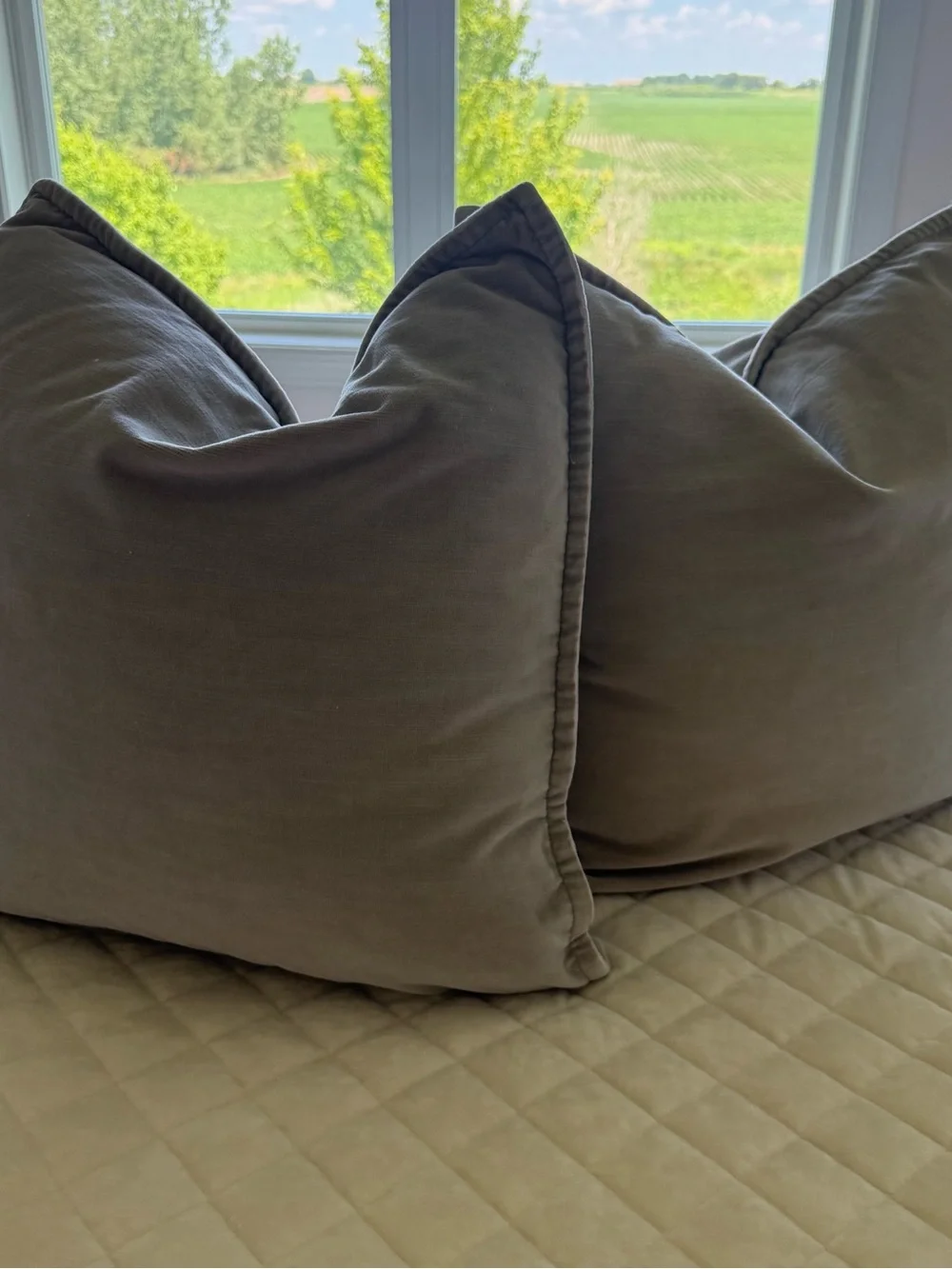 Pottery Barn Everywhere Velvet 20x20 Pillow Cover & Down Insert Set of Two Gray